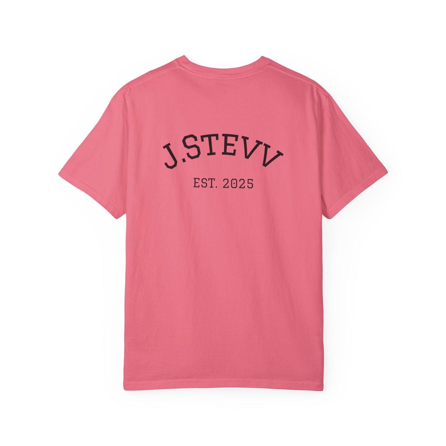 Unisex Garment-Dyed T-Shirt - "I Know I Made Some Past Mistakes" Design - Casual Comfort Wear